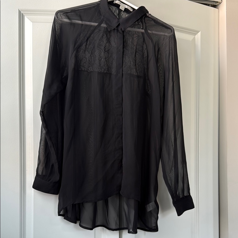 Elegant Black Sheer Women's Top